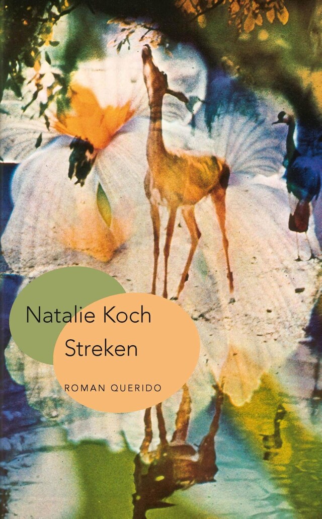 Book cover for Streken