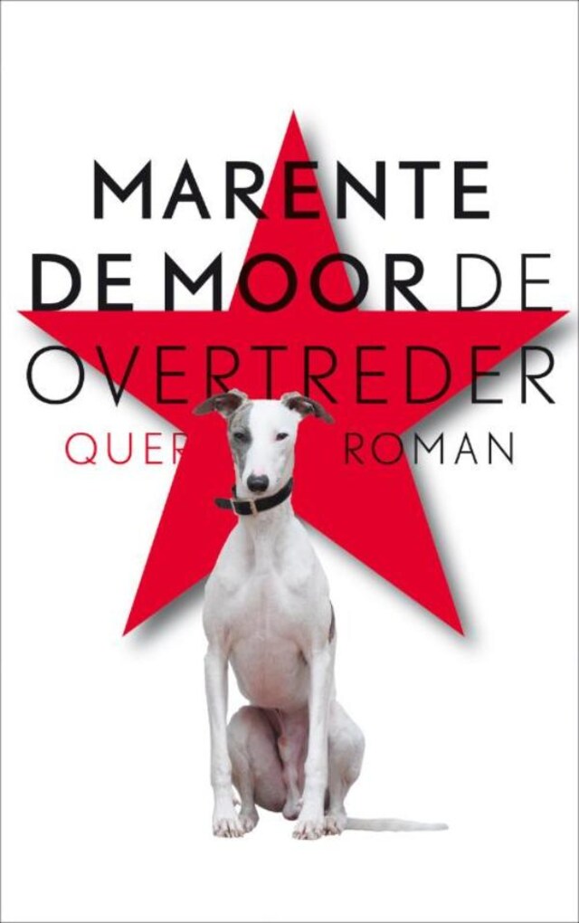 Book cover for De overtreder