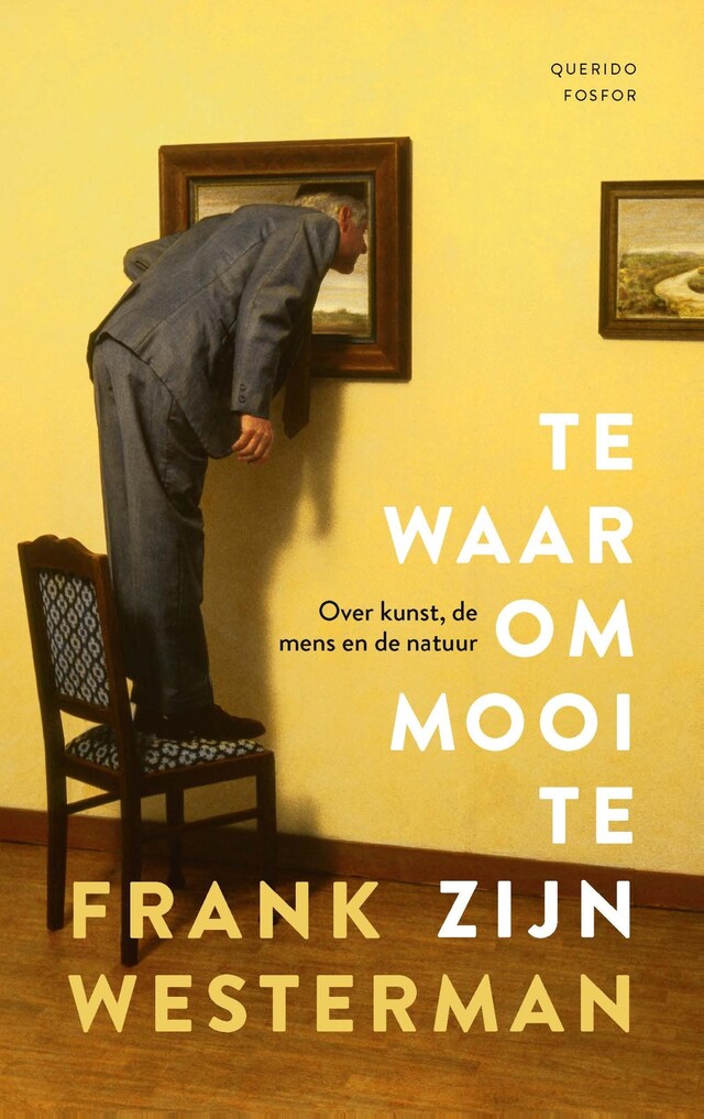 Buchcover für Te waar om mooi te zijn