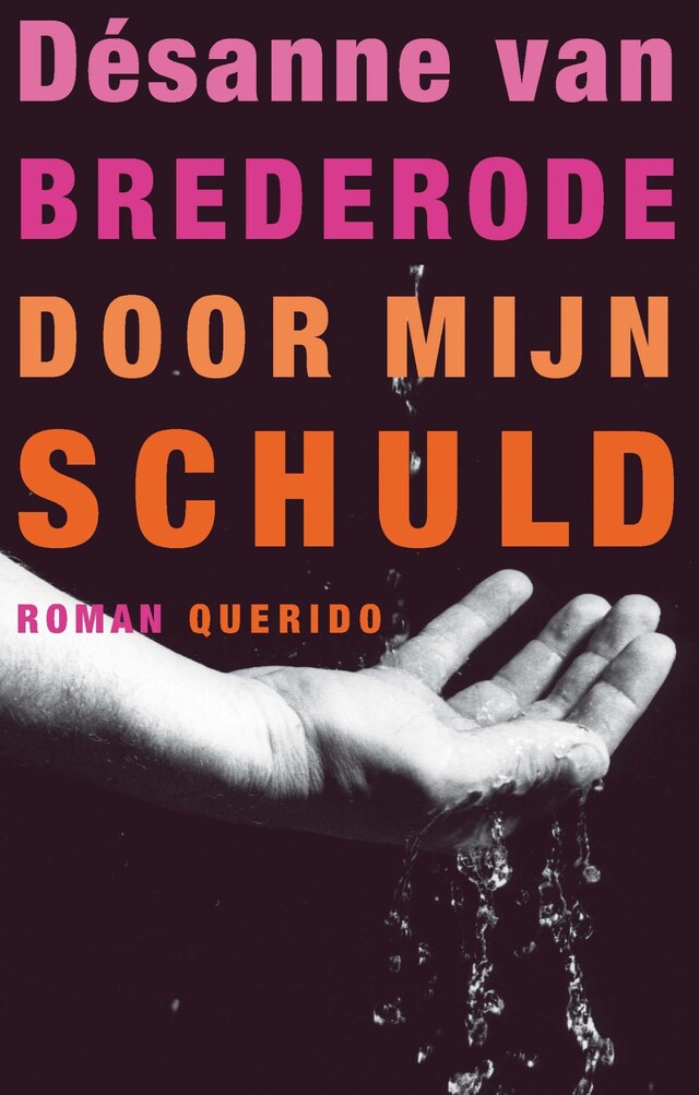 Book cover for Door mijn schuld