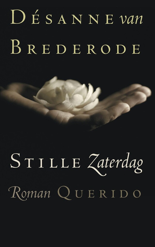 Book cover for Stille zaterdag