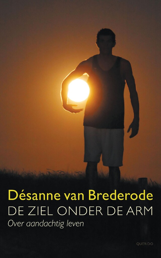 Book cover for De ziel onder de arm