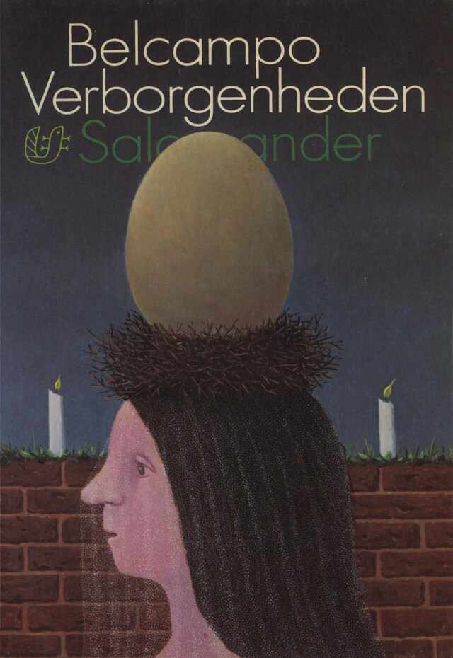 Couverture de livre pour Verborgenheden