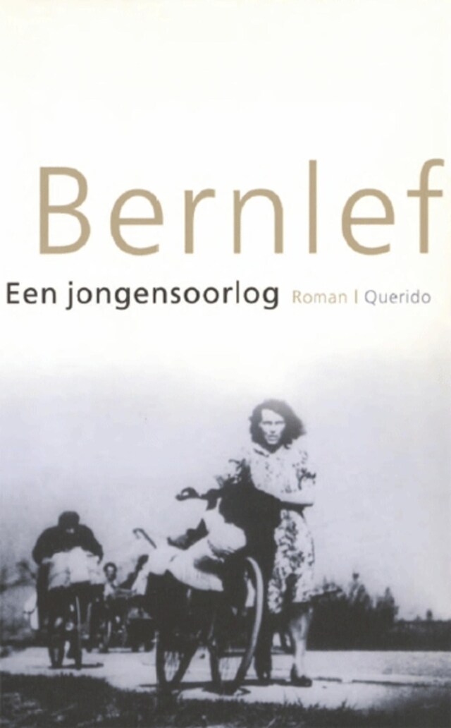 Book cover for Een jongensoorlog