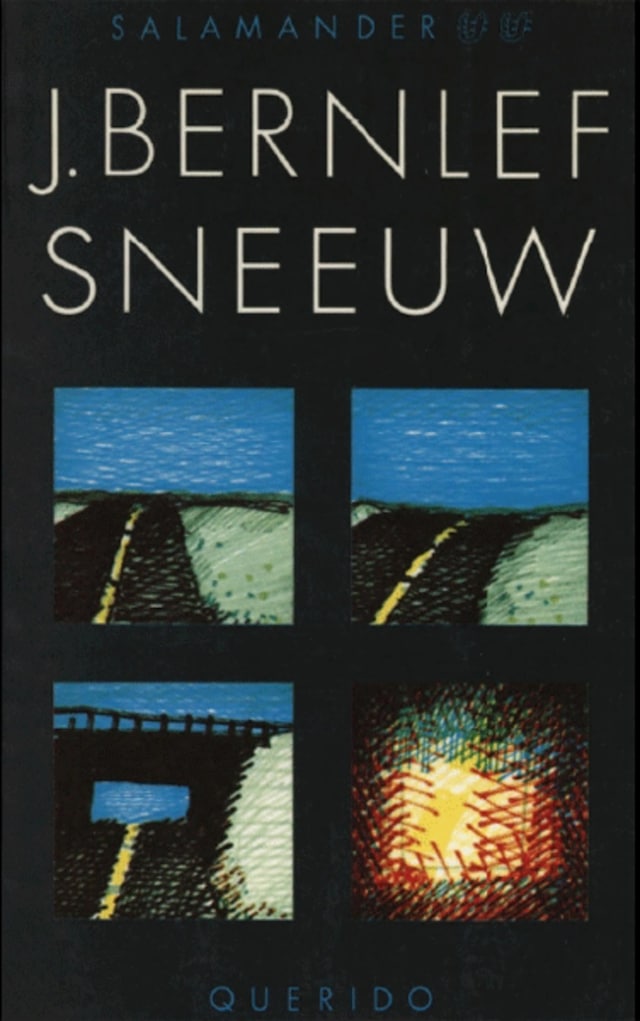 Buchcover für Sneeuw