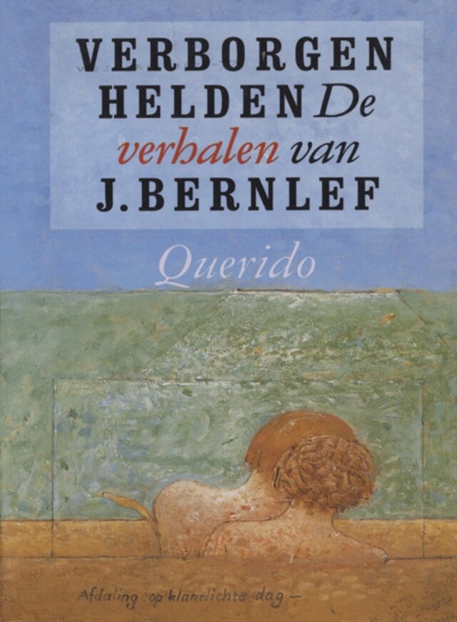 Book cover for Verborgen helden