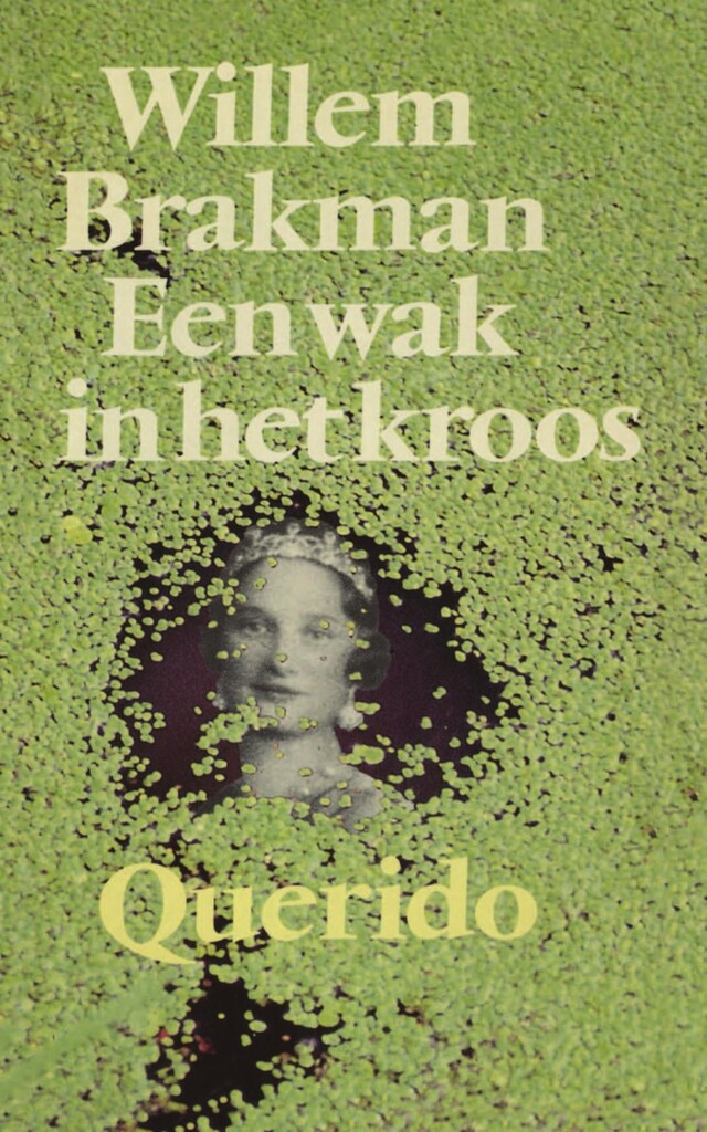 Book cover for Een wak in het kroos