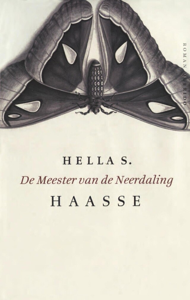 Copertina del libro per De meester van de neerdaling