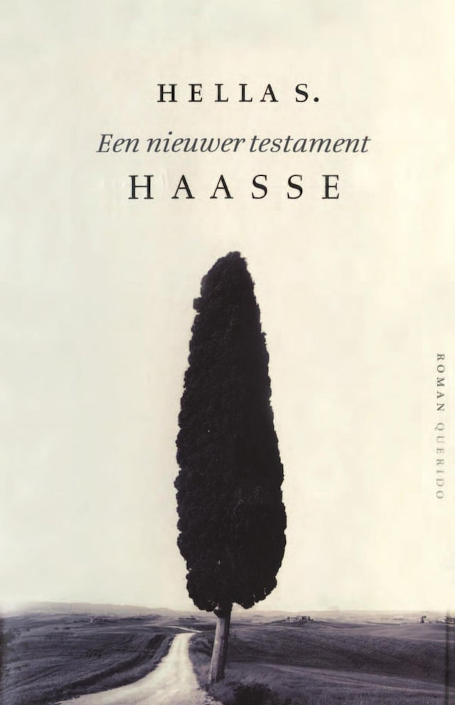 Buchcover für Een nieuwer testament