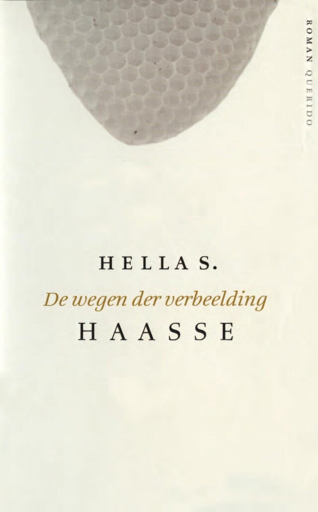 Copertina del libro per De wegen der verbeelding