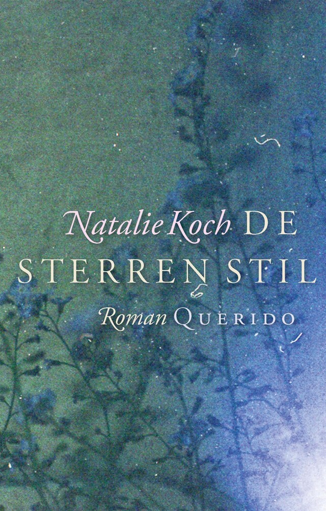 Book cover for De sterren stil