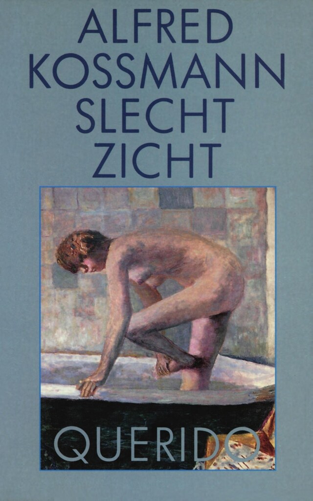 Book cover for Slecht zicht