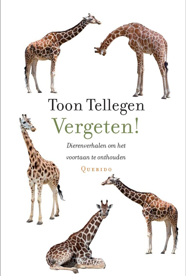 Kirjankansi teokselle Vergeten!