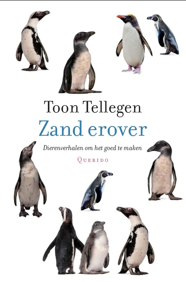 Boekomslag van Zand erover