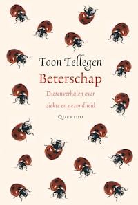 Beterschap