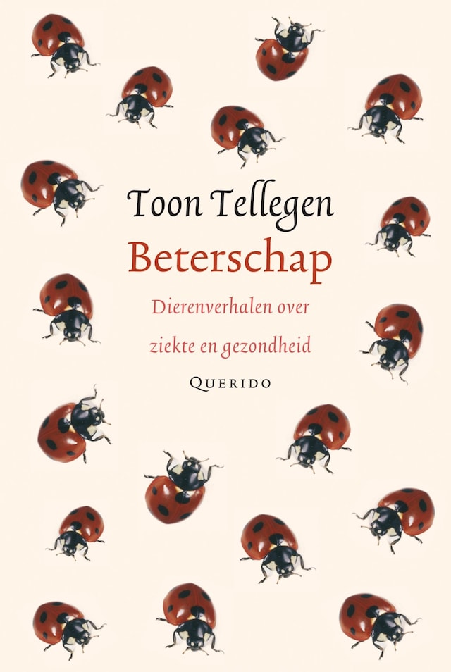 Buchcover für Beterschap