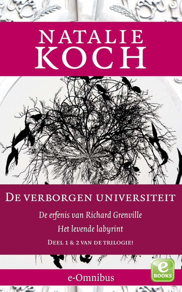 Kirjankansi teokselle De erfenis van Richard Grenville; Het levende labyrint