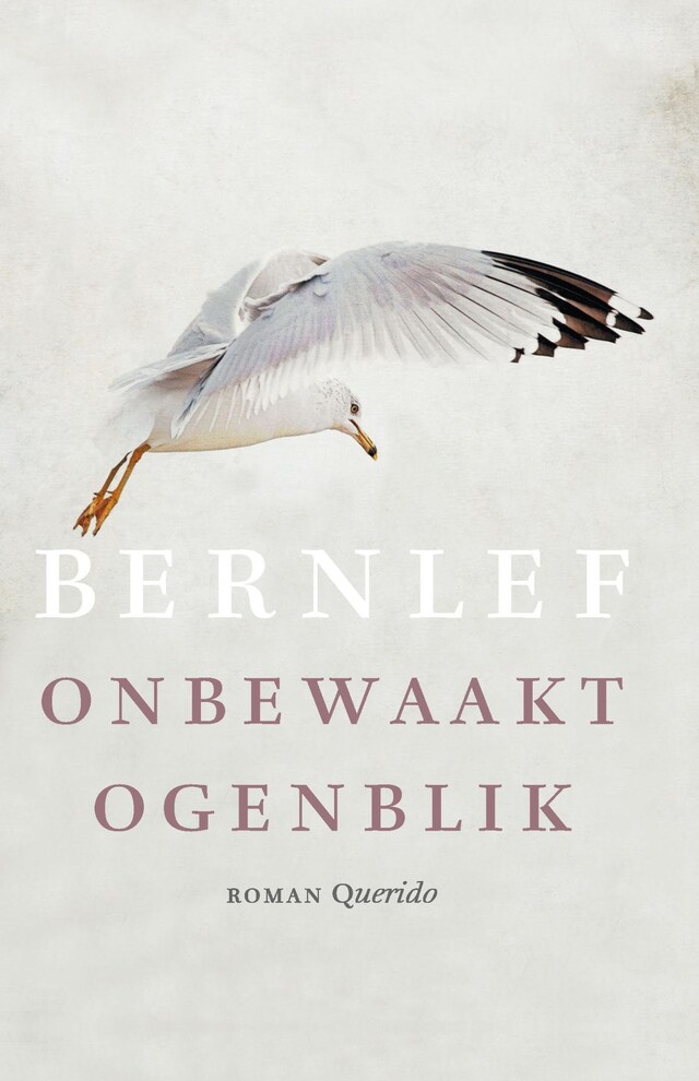 Bokomslag for Onbewaakt ogenblik