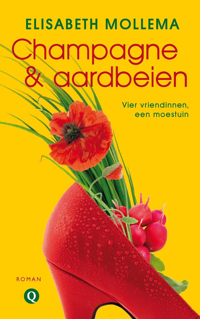 Book cover for Champagne en aardbeien