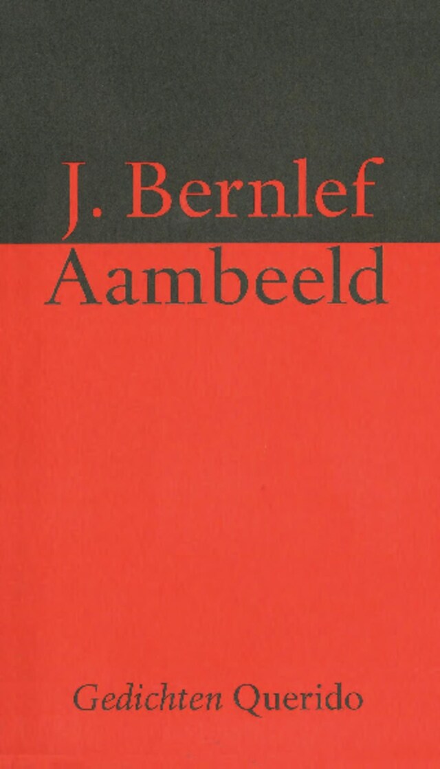 Book cover for Aambeeld