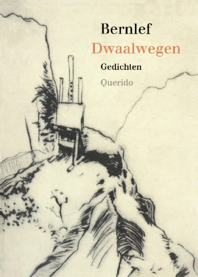 Book cover for Dwaalwegen