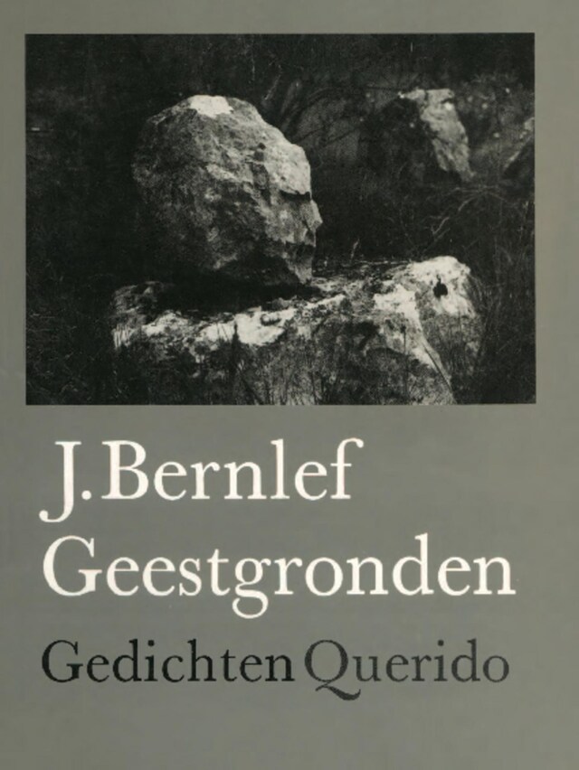 Book cover for Geestgronden