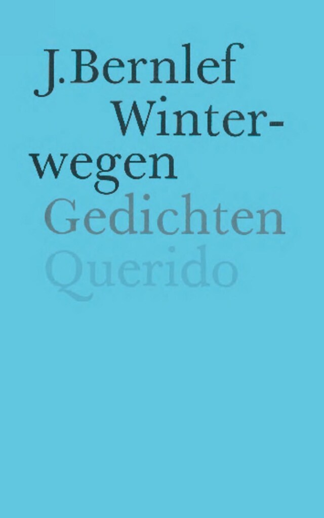 Book cover for Winterwegen