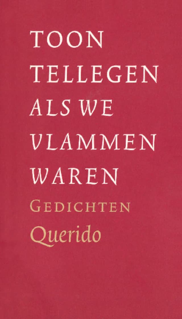 Buchcover für Als we vlammen waren