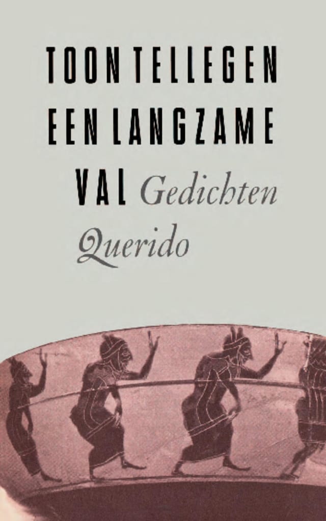 Couverture de livre pour Een langzame val