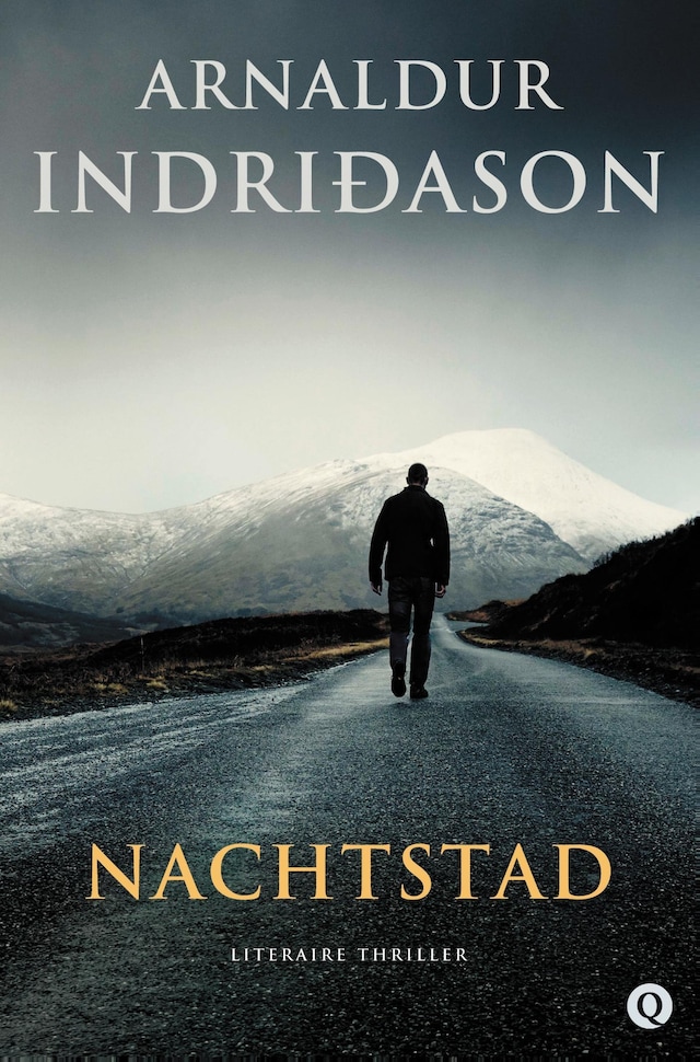 Book cover for Nachtstad