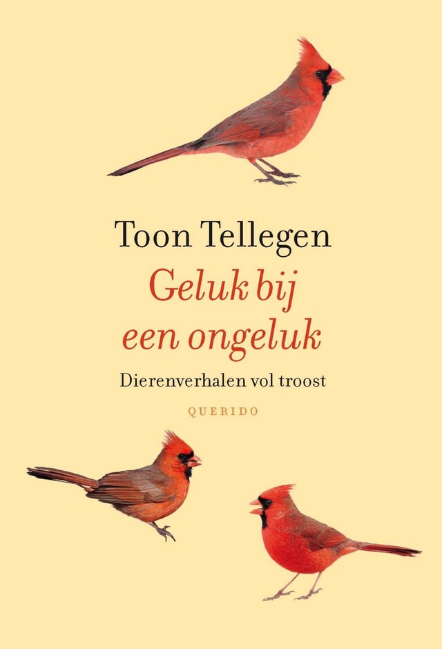 Book cover for Geluk bij een ongeluk