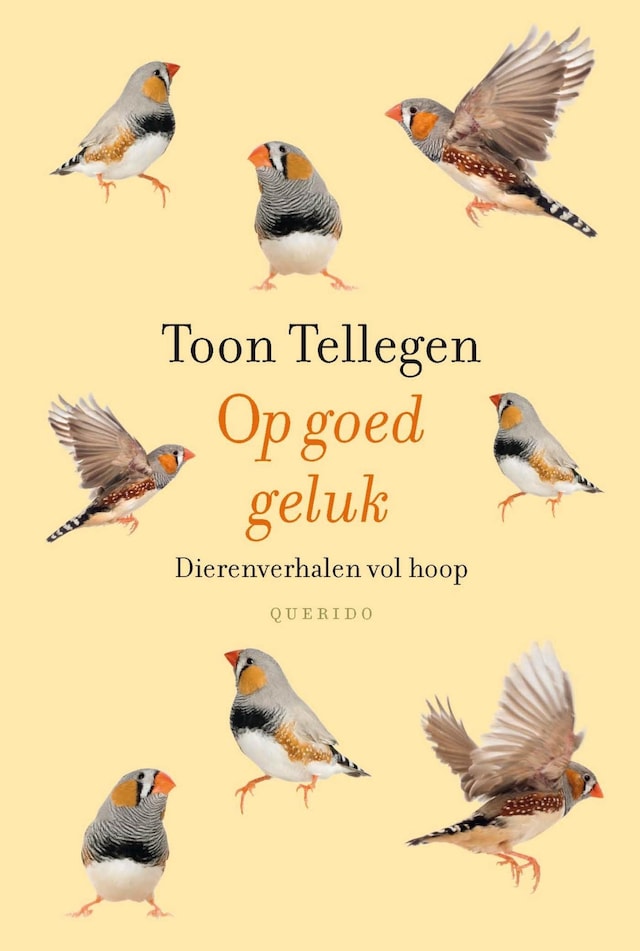 Book cover for Op goed geluk