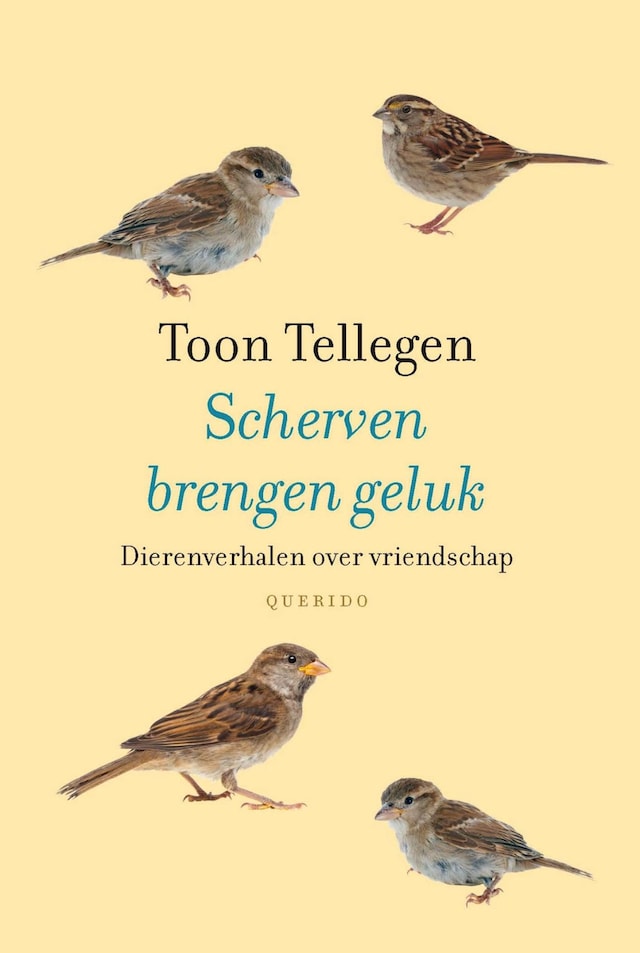 Buchcover für Scherven brengen geluk