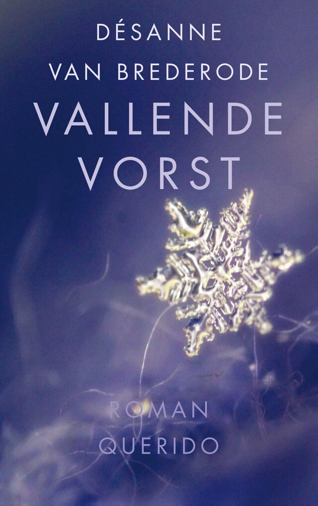 Book cover for Vallende vorst