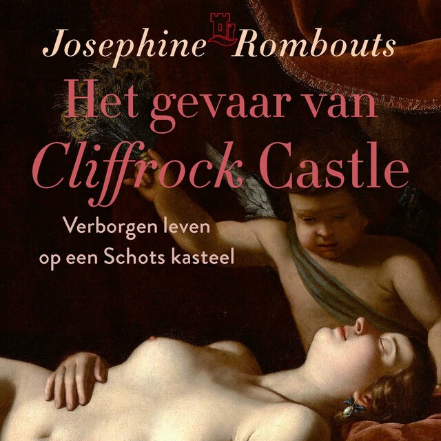 Book cover for Het gevaar van Cliffrock Castle