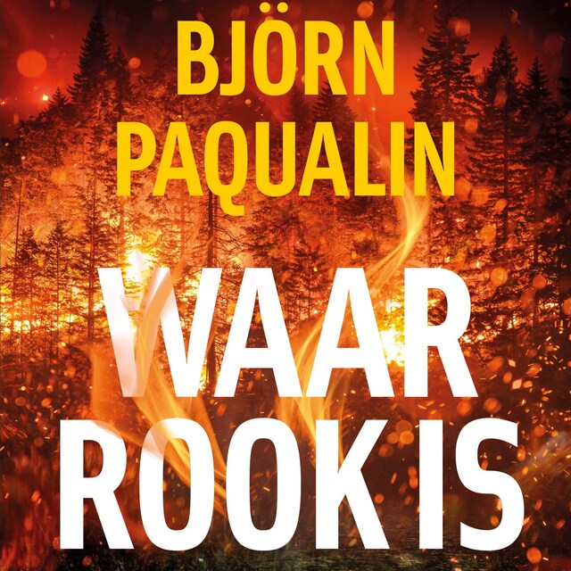 Couverture de livre pour Waar rook is