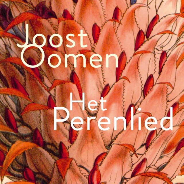 Book cover for Het Perenlied
