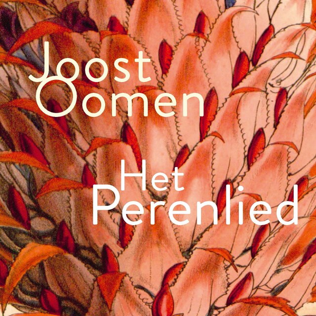 Book cover for Het Perenlied