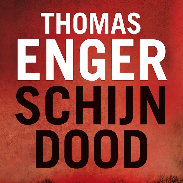 Book cover for Schijndood