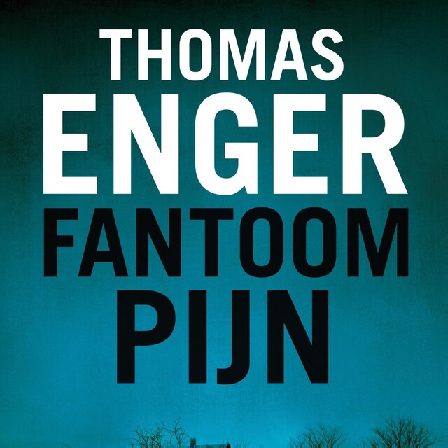 Book cover for Fantoompijn