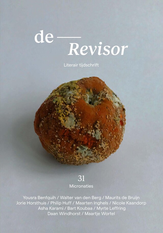 Copertina del libro per Revisor 31