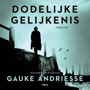 Dodelijke gelijkenis - luisterboek