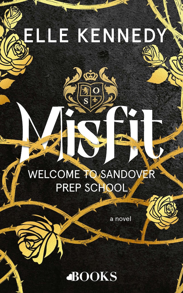 Book cover for Misfit