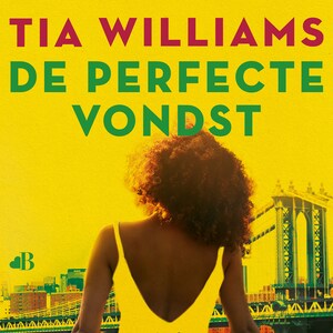 De perfecte vondst - luisterboek