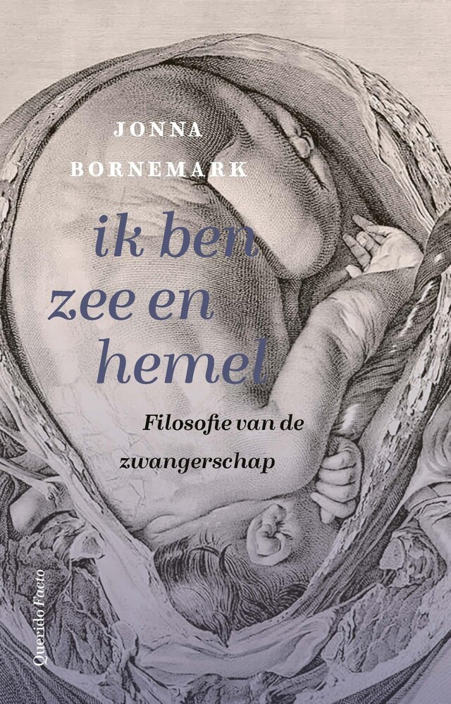 Kirjankansi teokselle ik ben zee en hemel