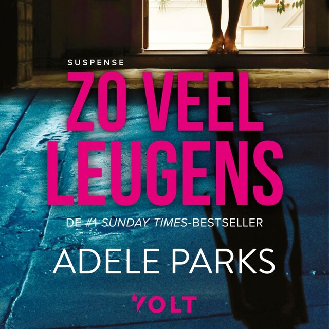 Book cover for Zo veel leugens