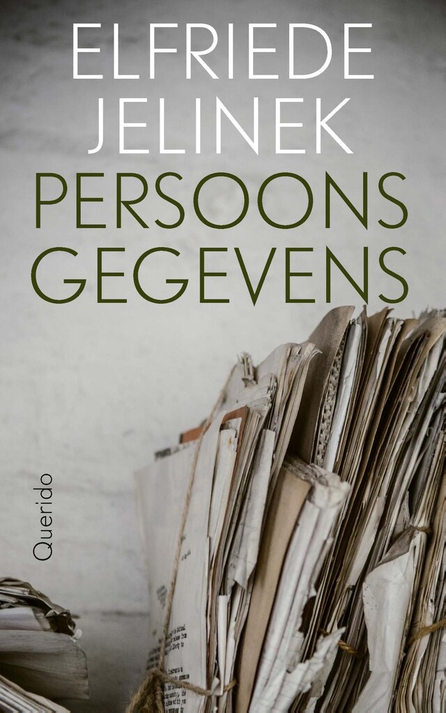 Book cover for Persoonsgegevens