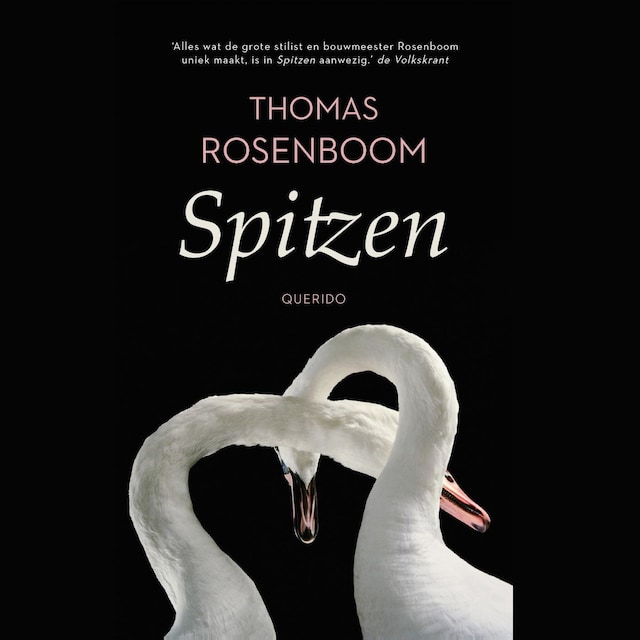 Boekomslag van Spitzen