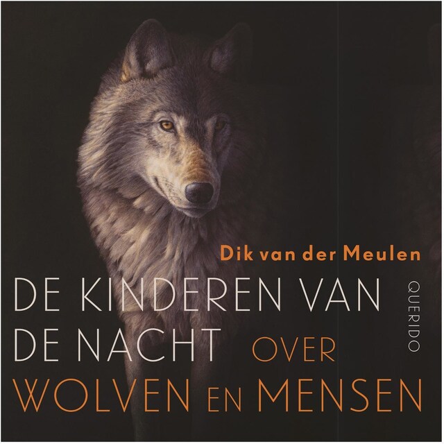 Book cover for De kinderen van de nacht