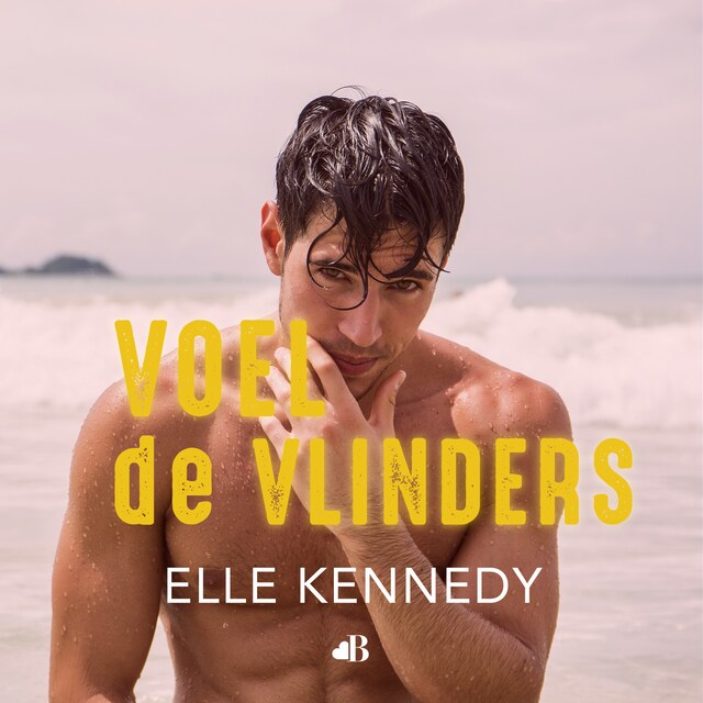 Book cover for Voel de vlinders